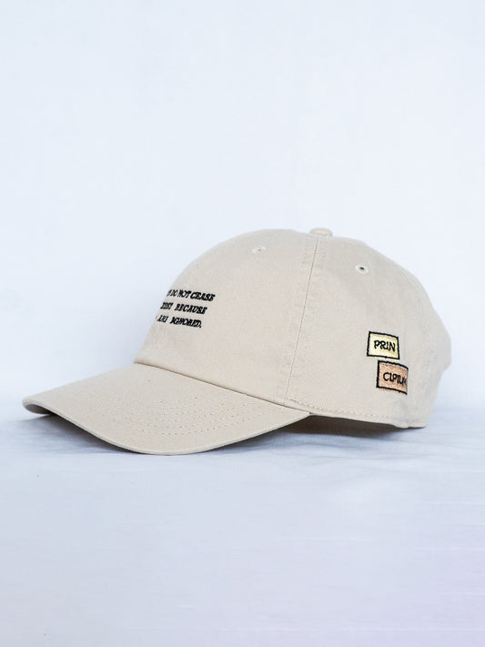 FACTS souvenir cap