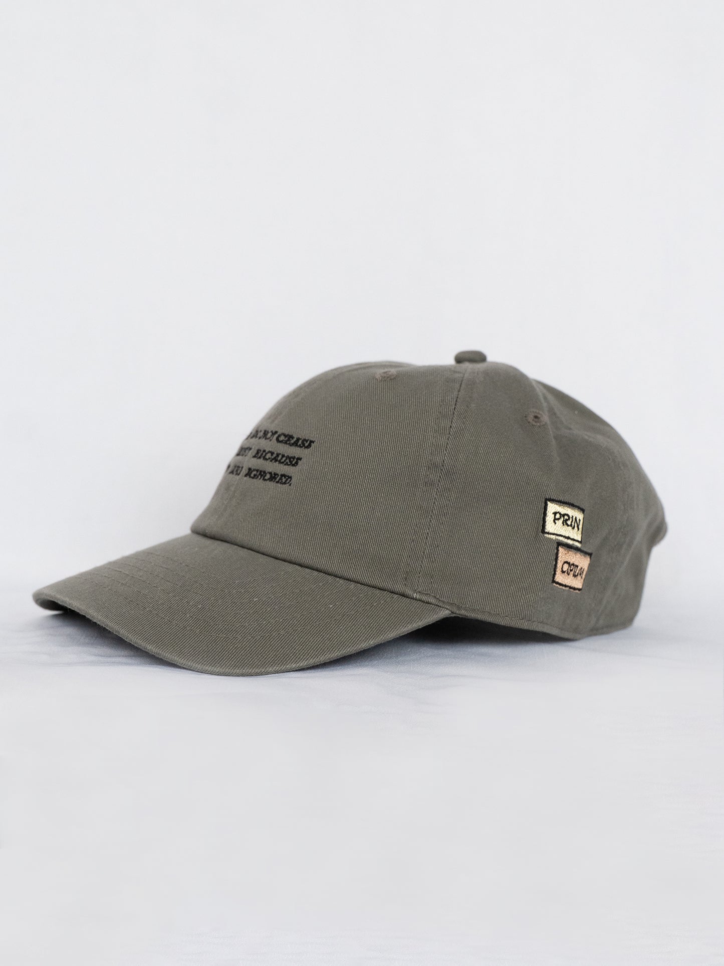 FACTS souvenir cap
