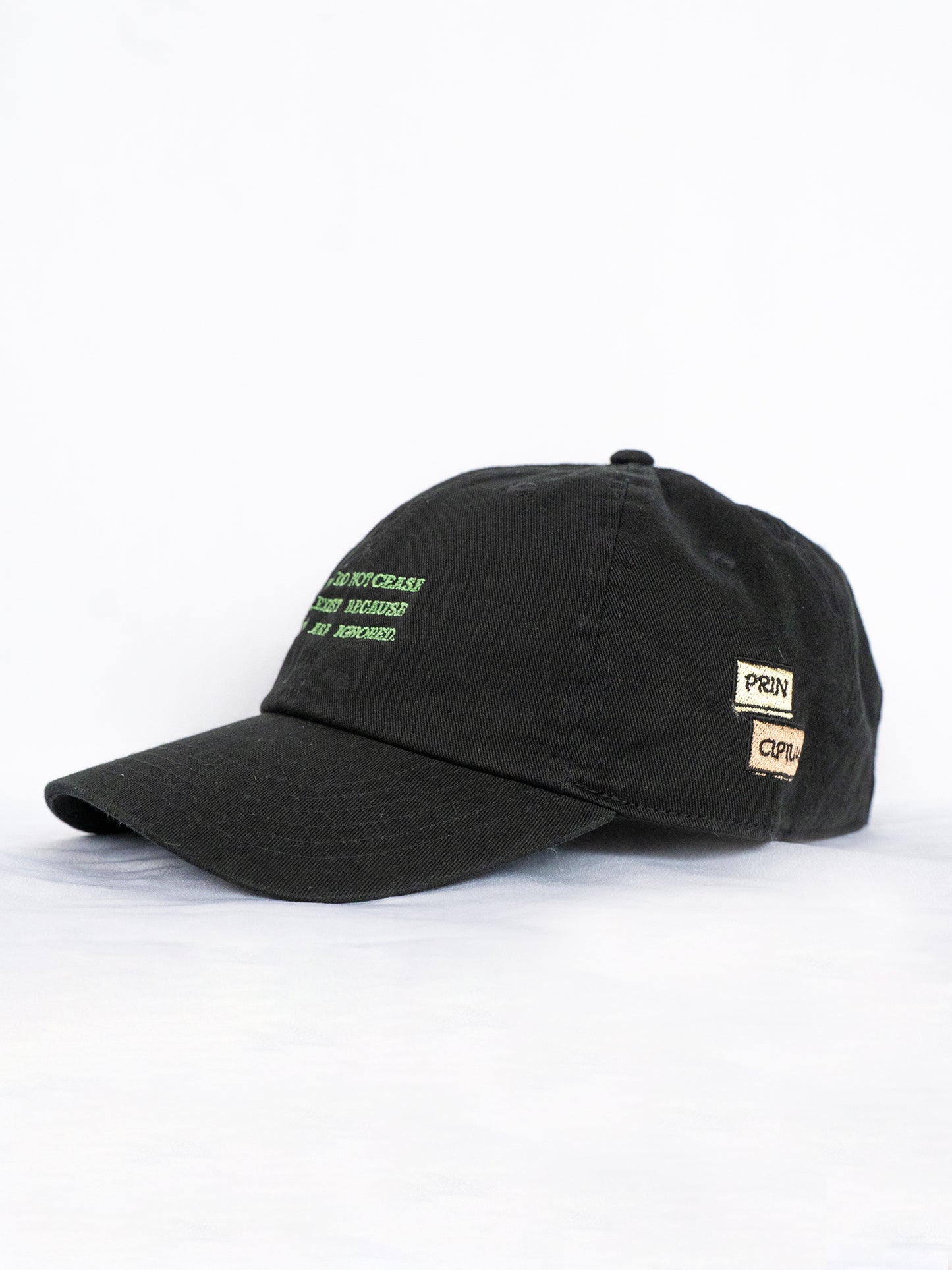 FACTS souvenir cap