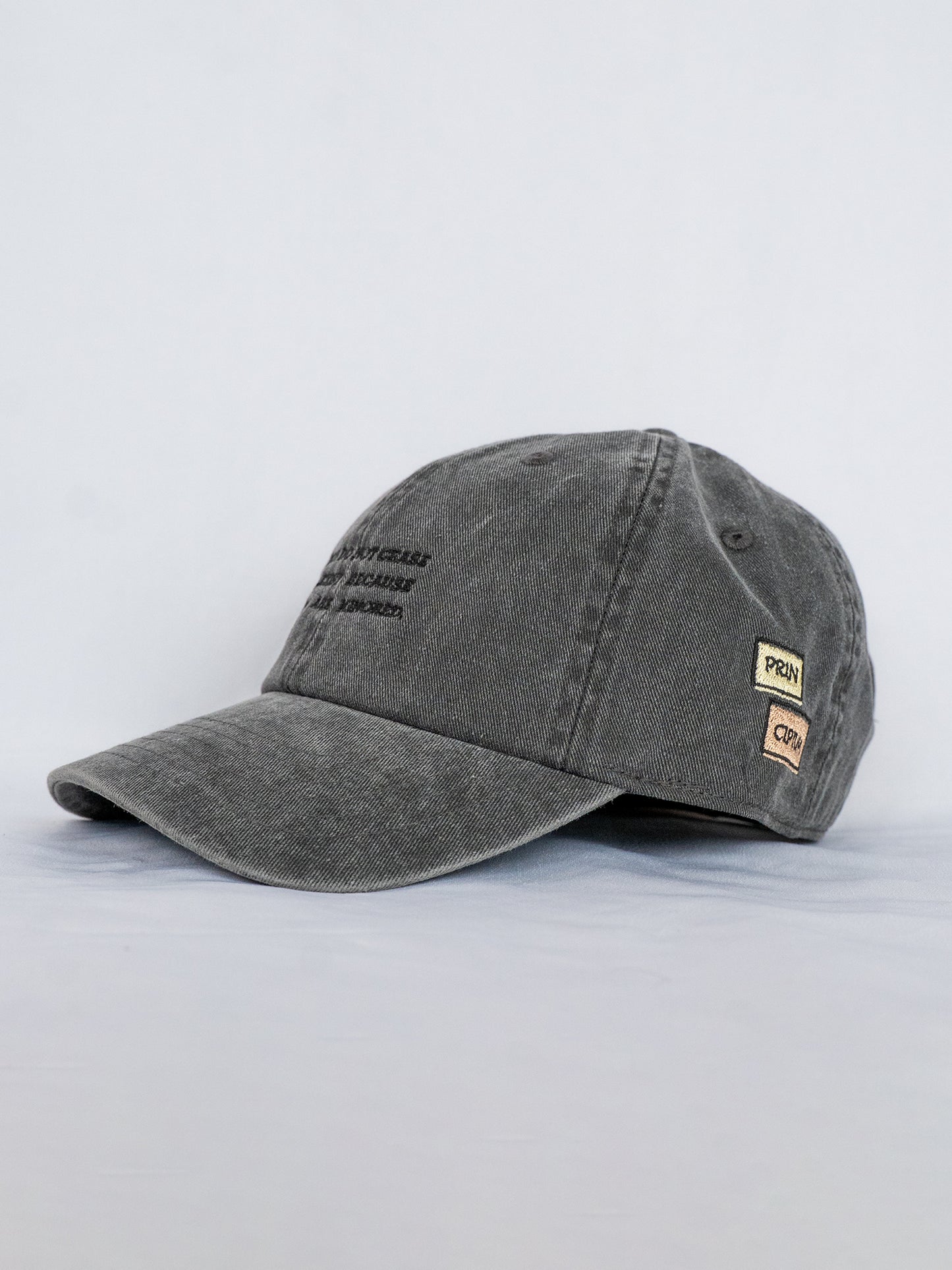 FACTS souvenir cap