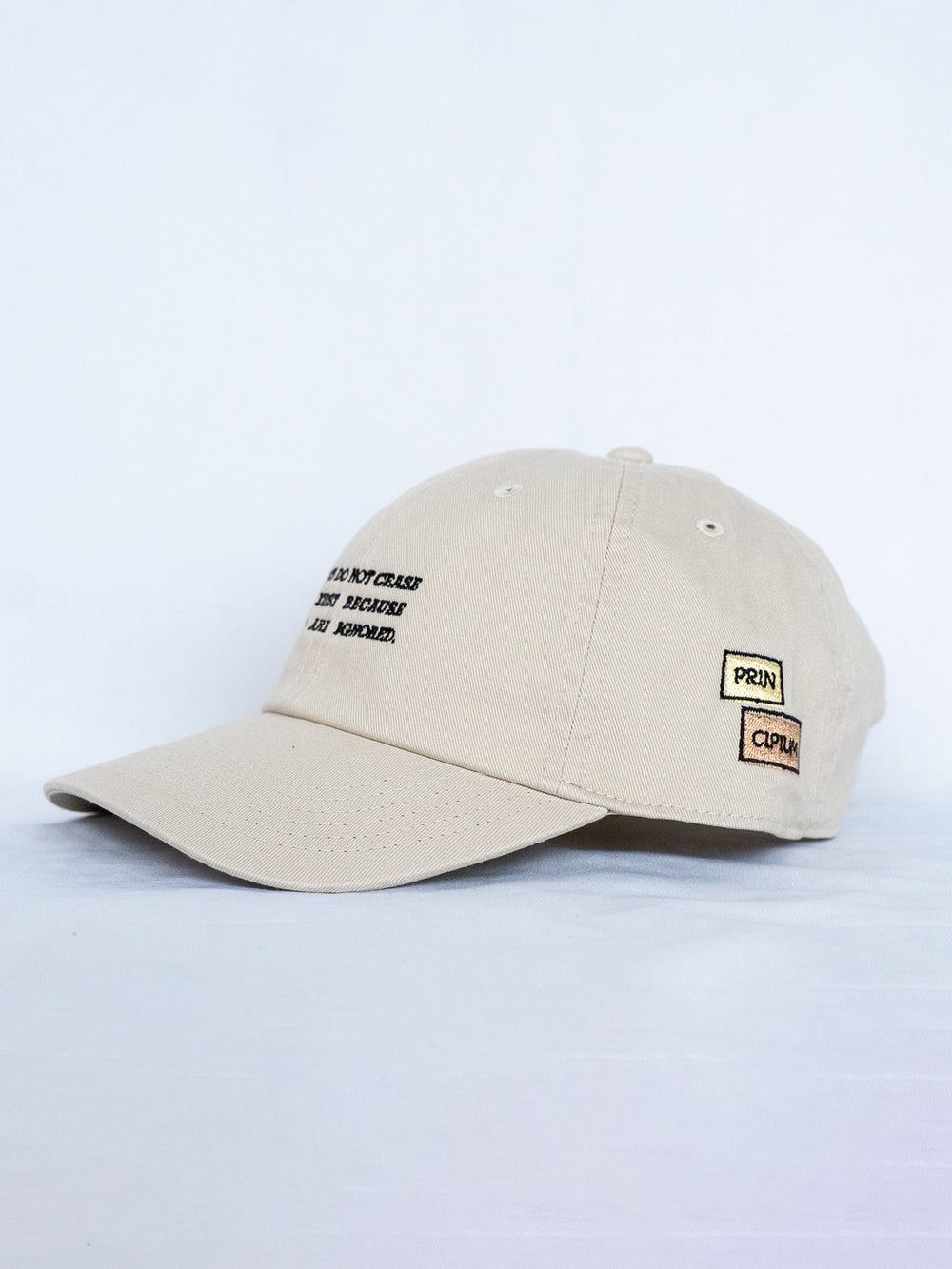 FACTS souvenir cap