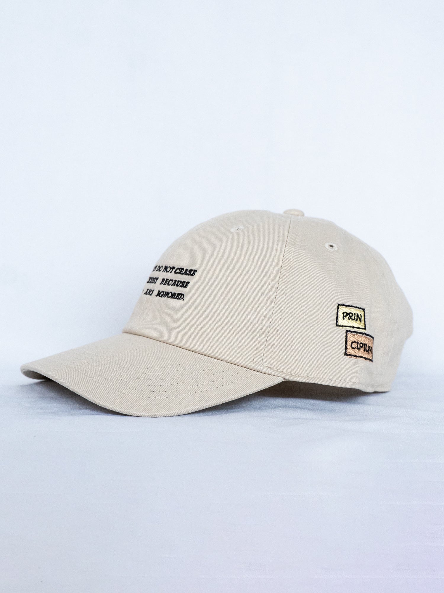 FACTS souvenir cap