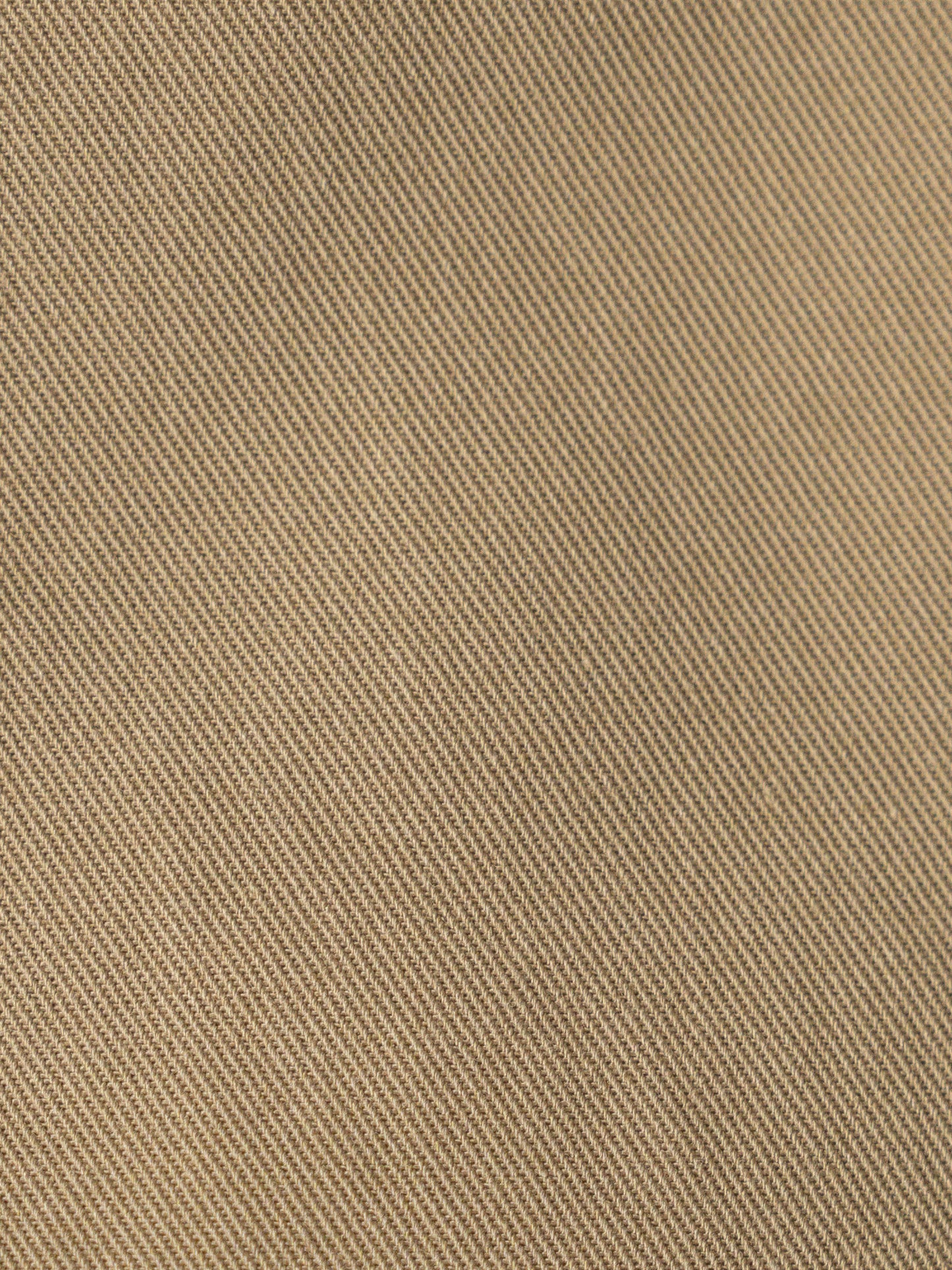 Army Chino Shorts