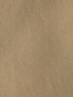 Army Chino Shorts