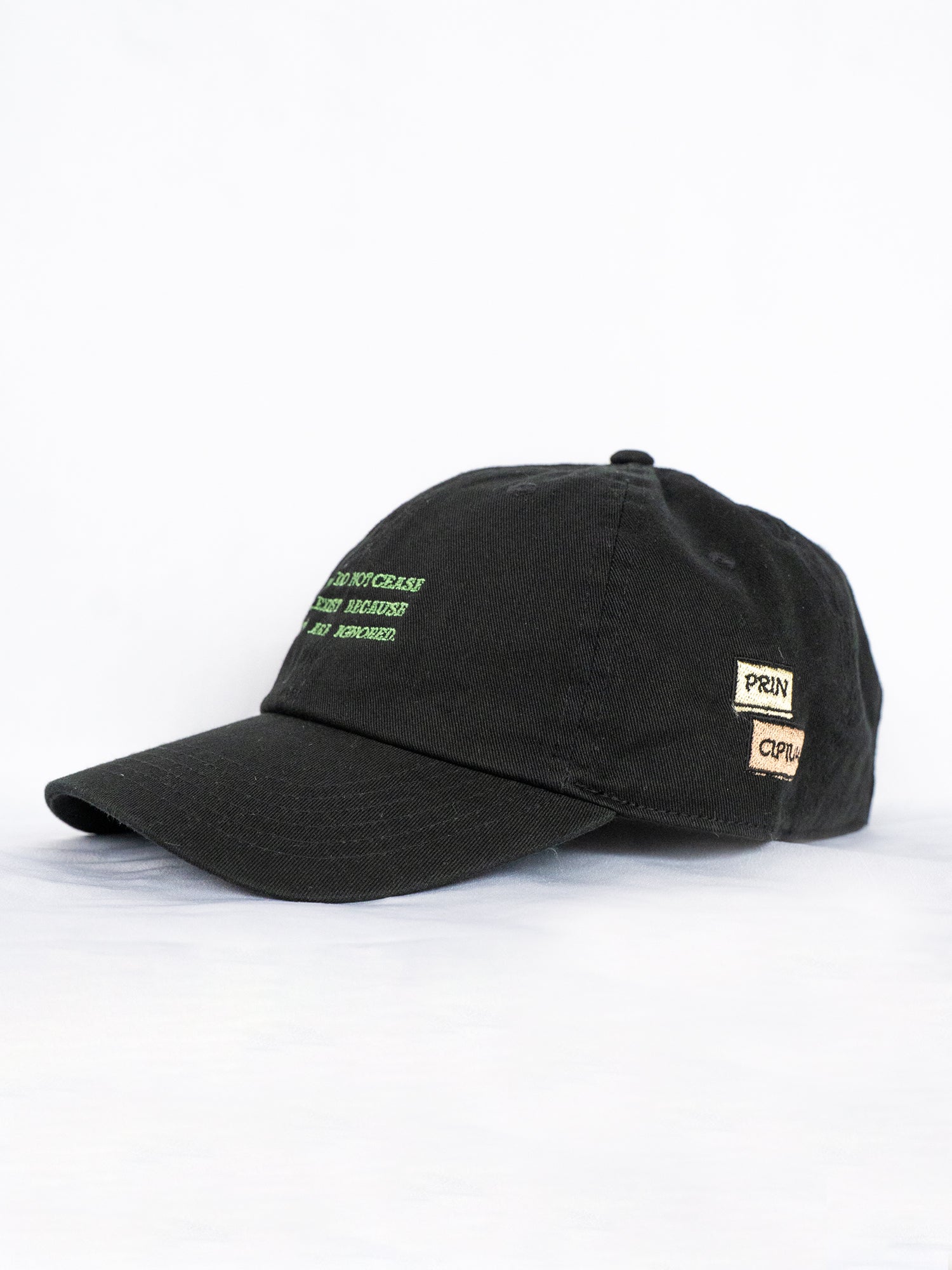 FACTS souvenir cap