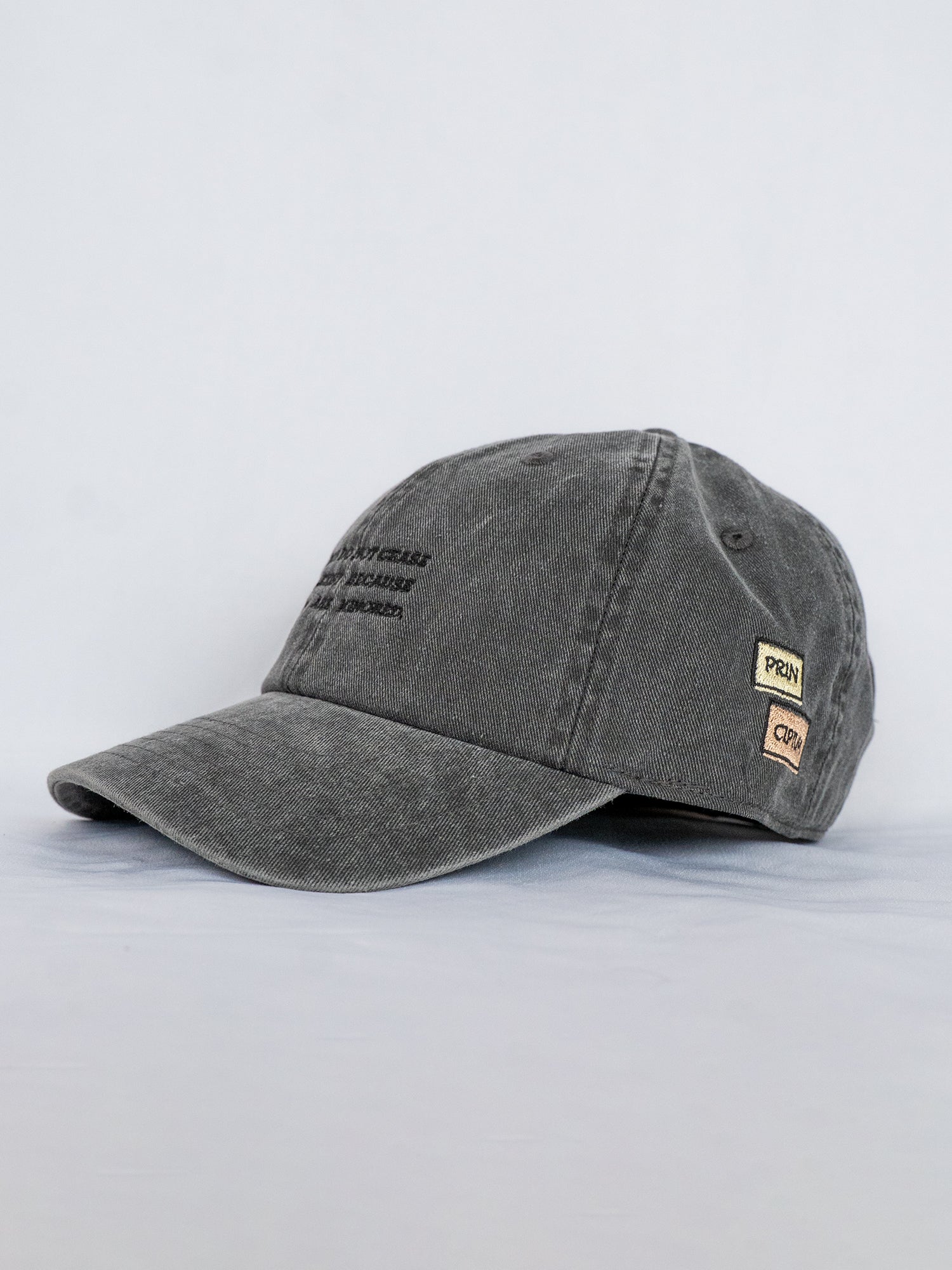 FACTS souvenir cap