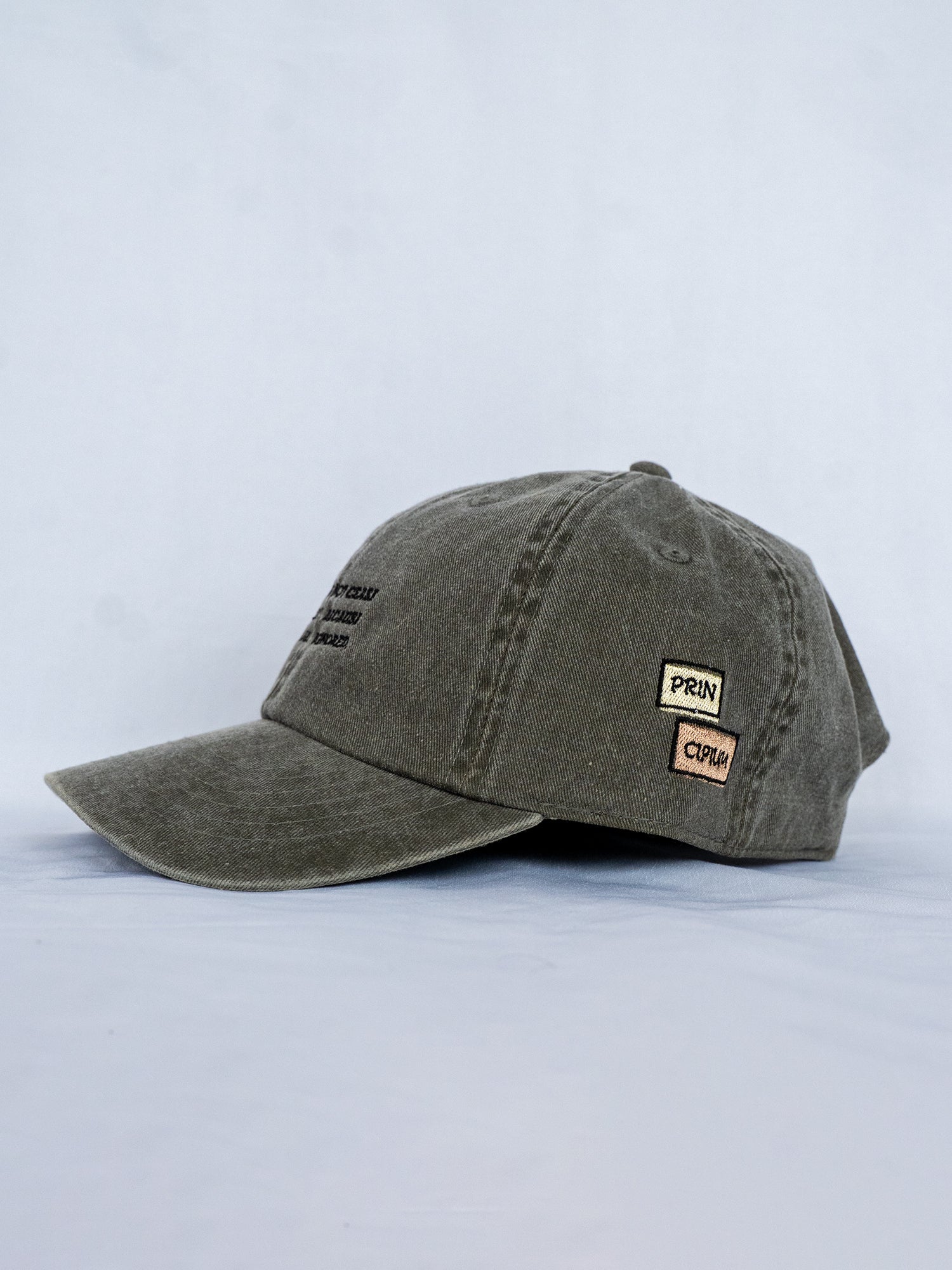 FACTS souvenir cap