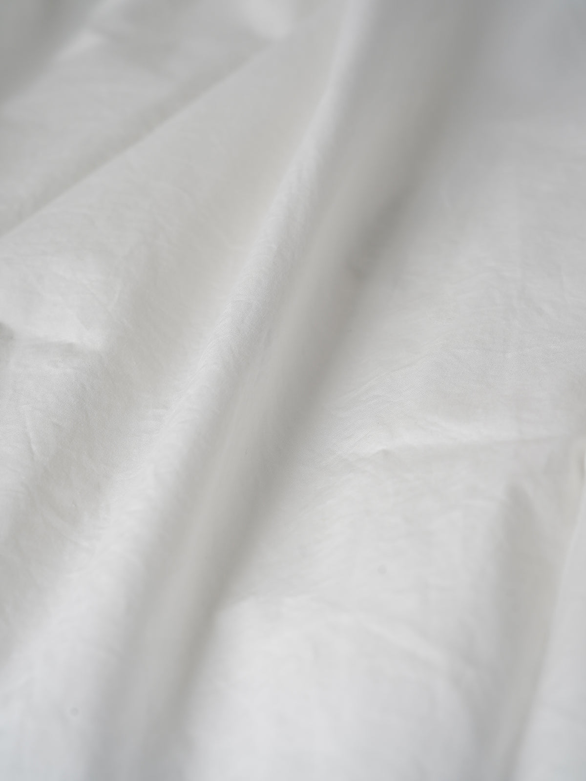Aldous Shirts